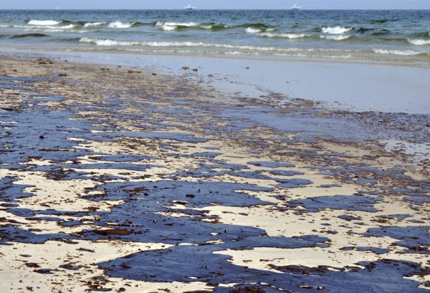 una playa tras un vertido de petróleo