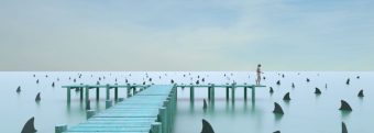 a person is standing on a pier surrounded by sharks