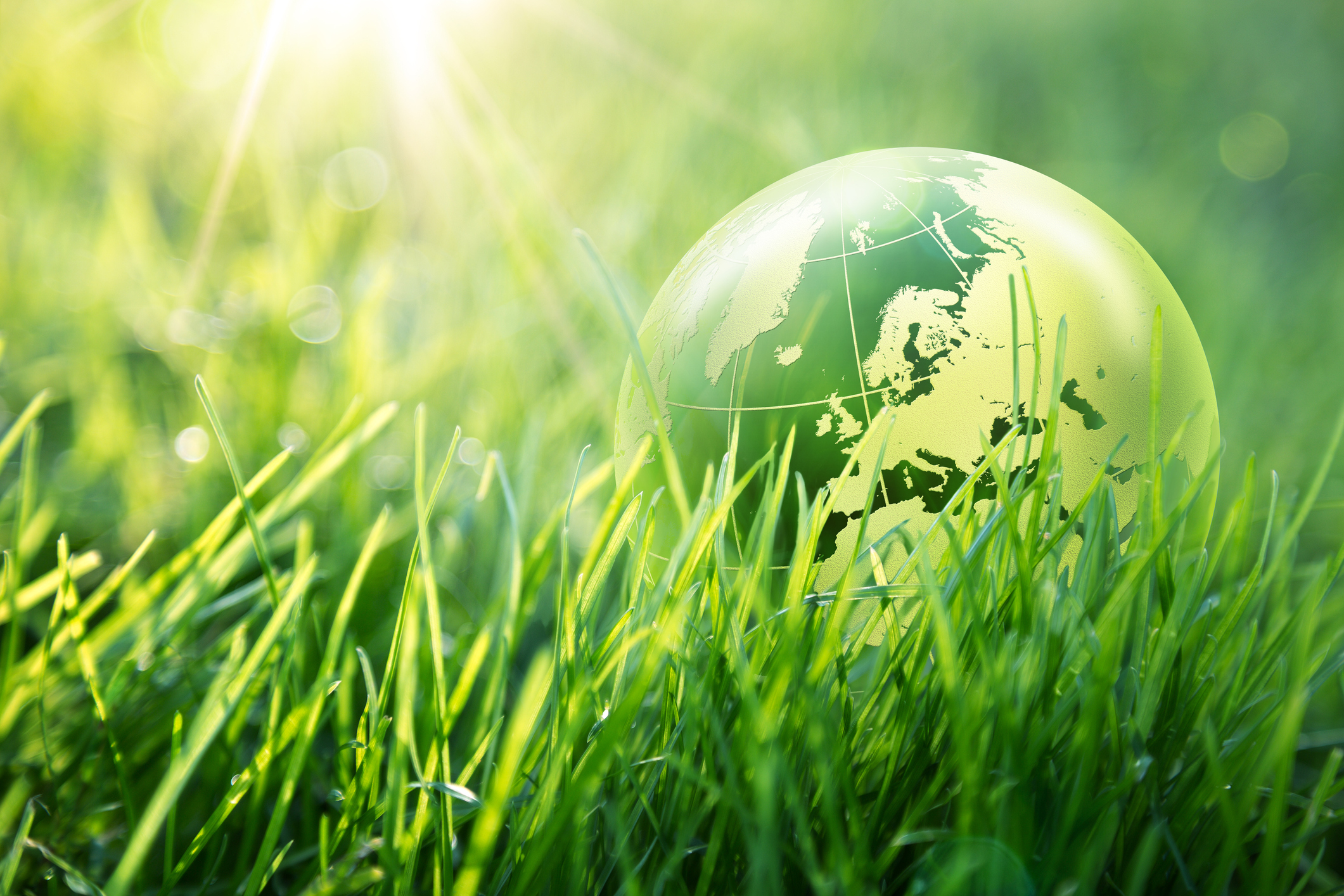 The EU and ESG: Why ESG matters to all multinational companies