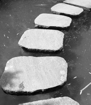stepping stones in a pond