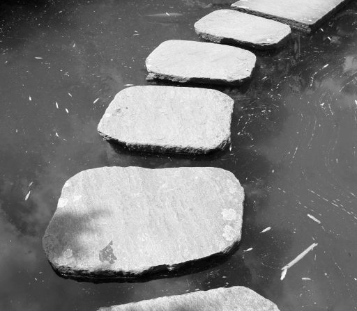 stepping stones in a pond