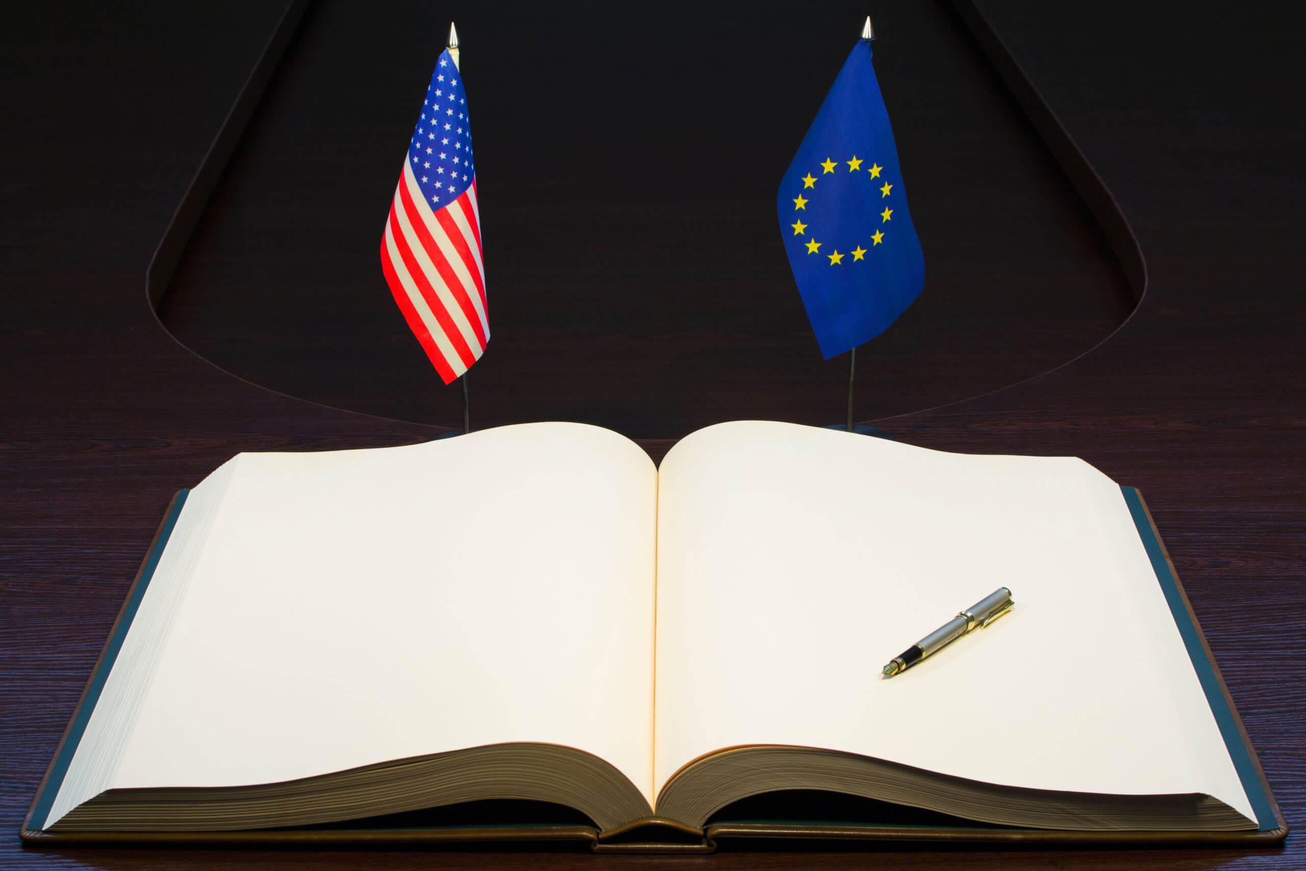 a pen is sitting on top of an open book in front of two flags